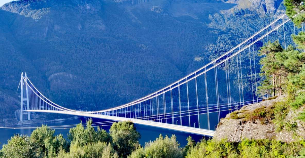 Flexible Tour to Hardangerfjord Vøringsfossen or Glacier - Transportation Options