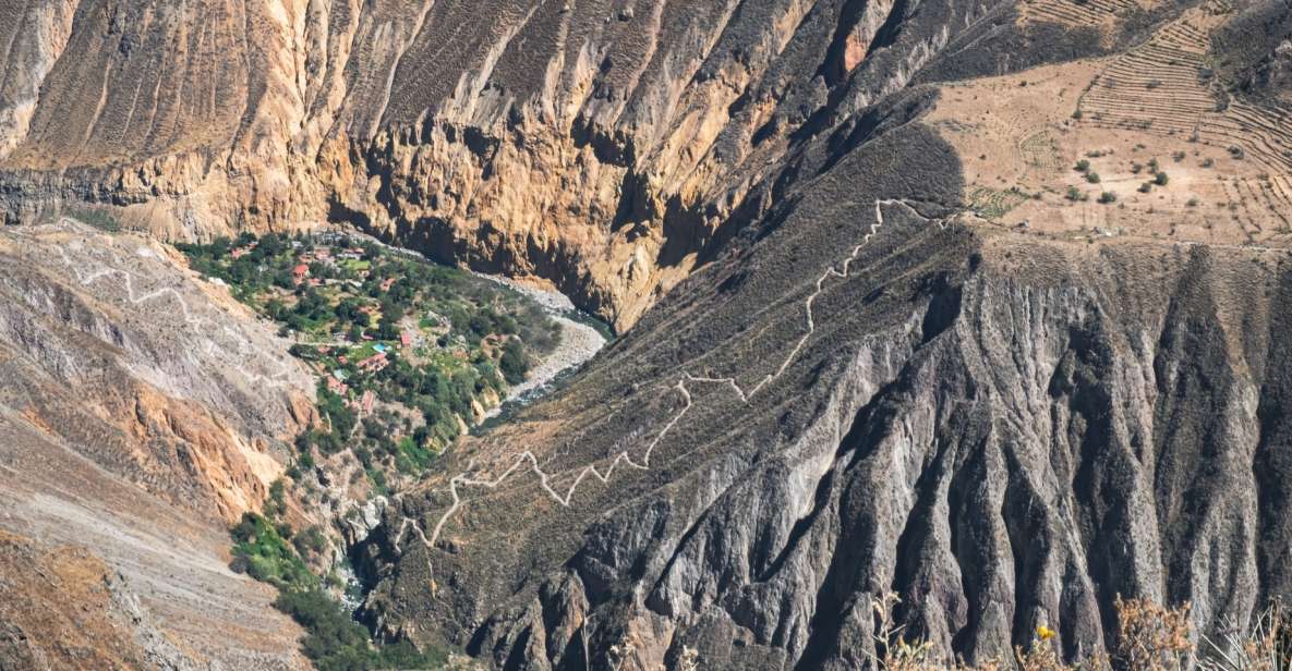 Flight of the Condor - Cabanaconde - Highlights and Experience