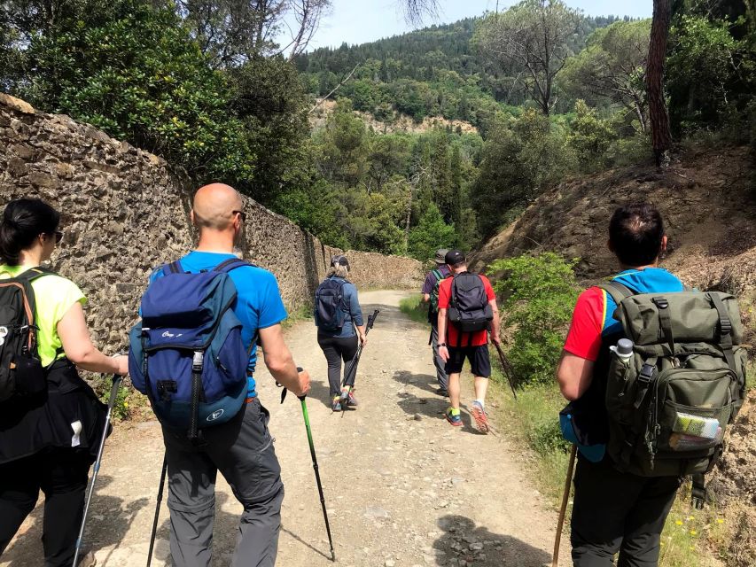 Florence: Arcetri Urban Hike - Detailed Itinerary