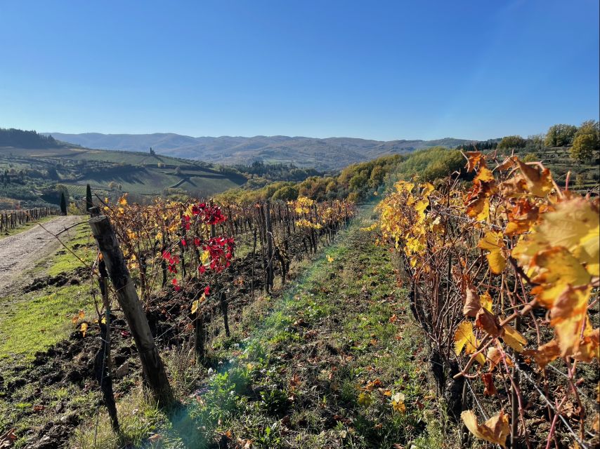 Florence: Tuscany & Chianti Classico Wine & Hike With Lunch - Chianti Classico Wine Region