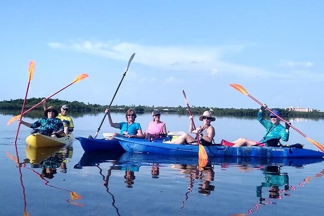 Florida Keys Mangrove Eco Tour of Manatee Bay - Tour Highlights