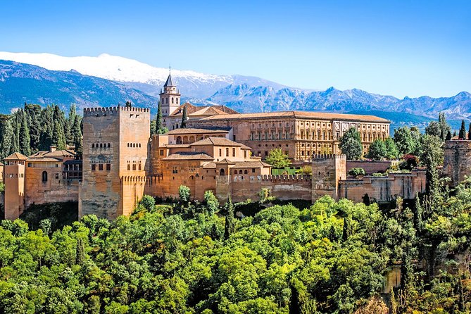 For Cruise Passengers Only: Granada and Alhambra From Malaga Port - Duration and Accessibility