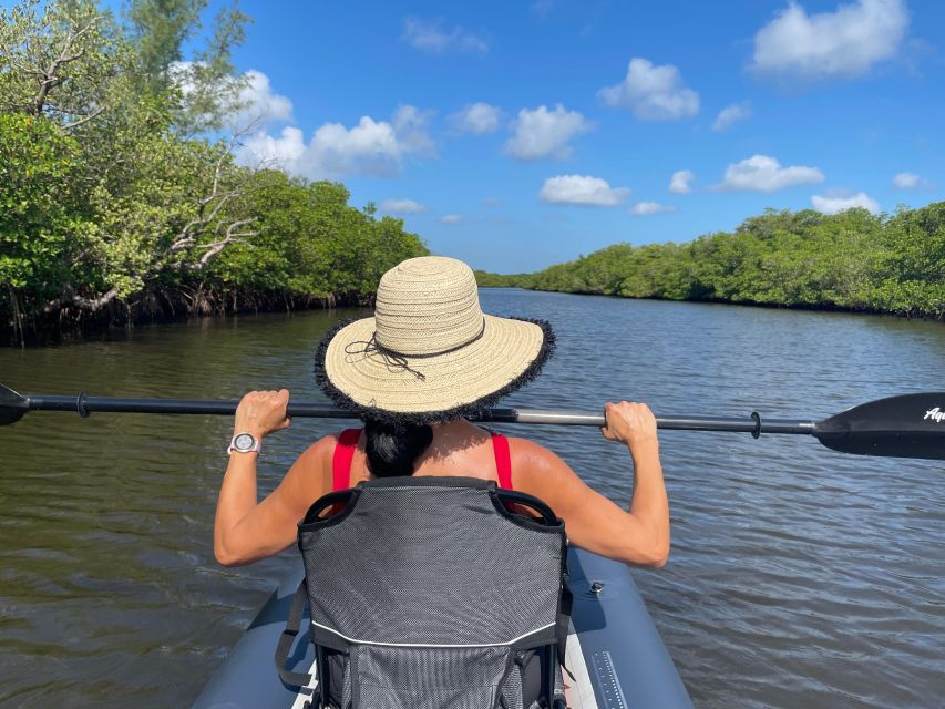 Fort Pierce: 4-hr Mangroves & Dolphin Watch Sandbar in FL - Kayak and Equipment Included