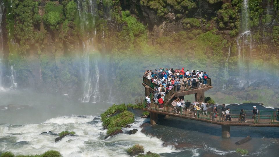 Foz Do Iguaçu: Brazilian Side of the Falls Bird Park - The Bird Park Experience