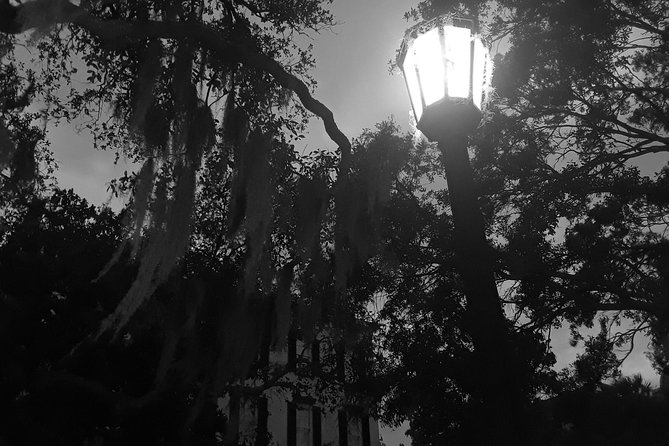 Fraidy Cat: The Family Fun Ghost Tour of Savannah - Family-Friendly Features