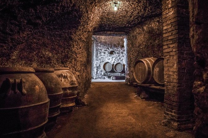 Frascati Wine Tasting Tour: The Flavors of the Roman Countryside - Culinary Delights of Frascati