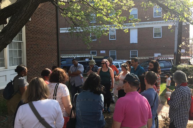 Freedoms Fight in Alexandria - Guided Walking Tour Experience