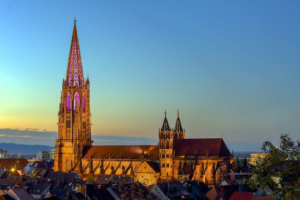 Freiburg: Guided Walking Tour - Experience Description