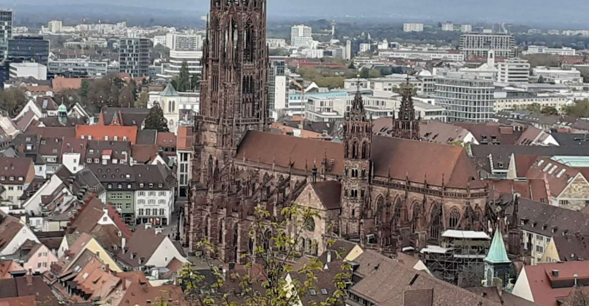 Freiburg: Walking and Strolling the Historic Center - Guided Experience