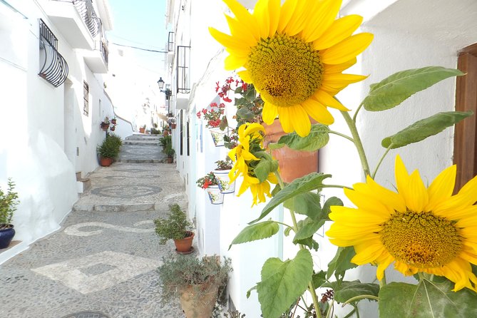 Frigiliana Small-Group Hike and Wine Tasting Tour From Malaga - Accessibility Information