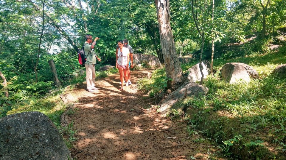 .From Acapulco: Archaeological Tour to Tehuacalco Site - Ritual Offerings and Petroglyphs