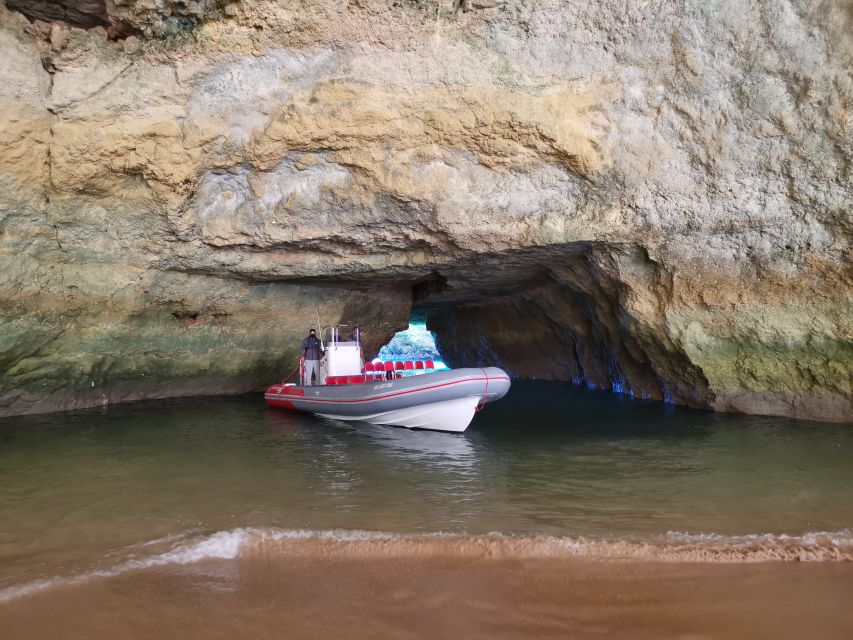 From Albufeira: Benagil Caves and Dolphins Guided Boat Tour - Tour Experience