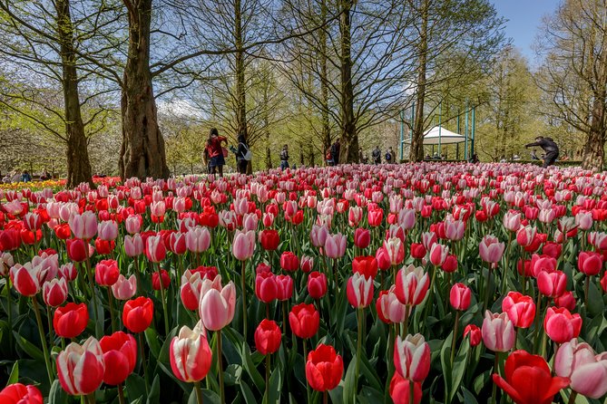 From Amsterdam: Keukenhof Flower Park Ticket and Transfer 2025 - Customizable Package