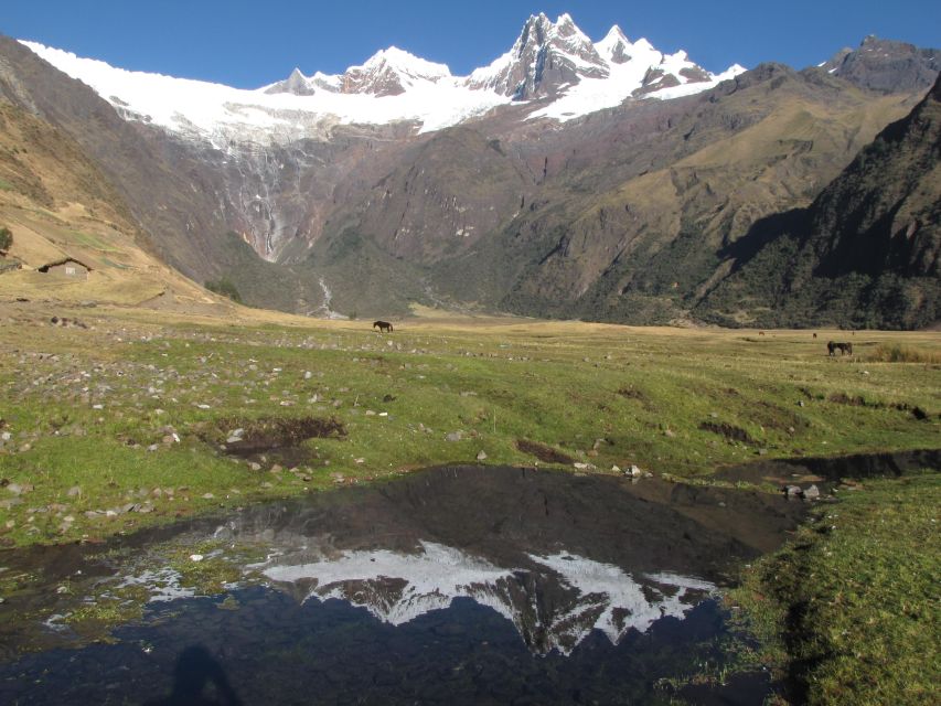 From Ancash: Trekking Alpamayo Cedars |9Days-8Nights| - Crossing Tupatupa Pass