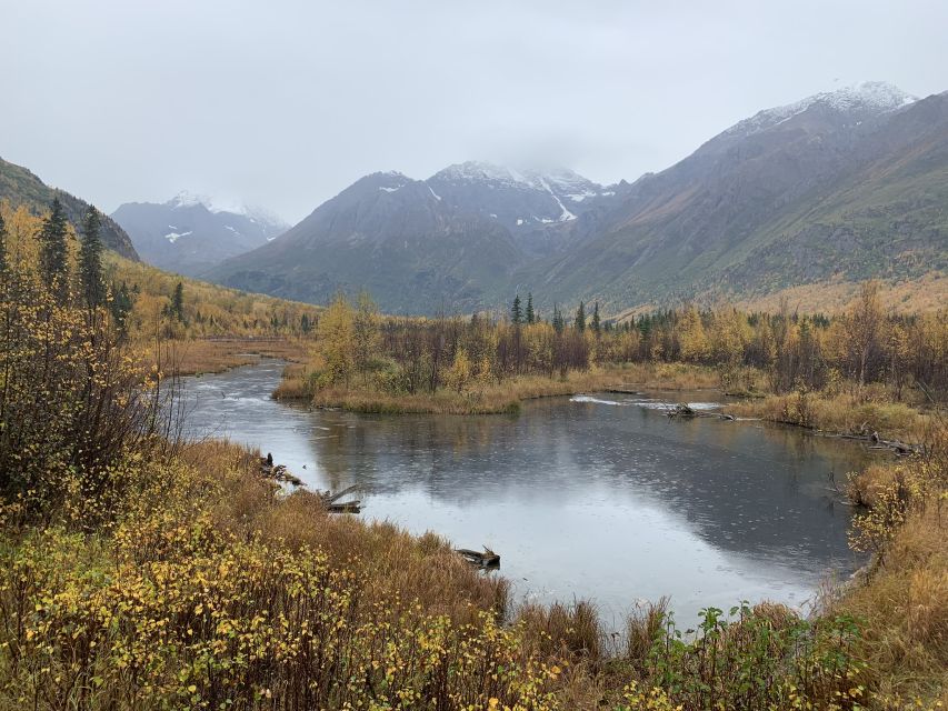 From Anchorage: Valley and Forest Hike With Naturalist Guide - Included in the Trip