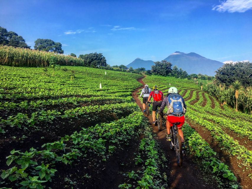 From Antigua: Lake Atitlán Mountain Biking Adventure - Inclusions