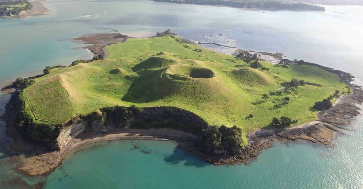 From Auckland: Browns Island Motukorea Sea Kayak Tour - Highlights