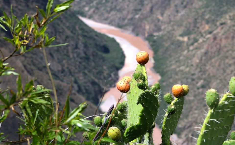 From Ayacucho: Huatuscalla Huanta - Full Day - Experience Highlights
