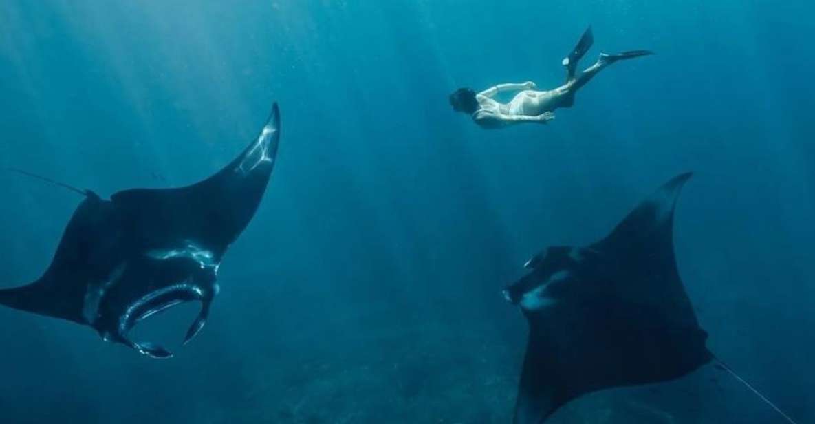 From Bali: Manta Point Snorkeling & West Nusa Penida - Speedboat Departure