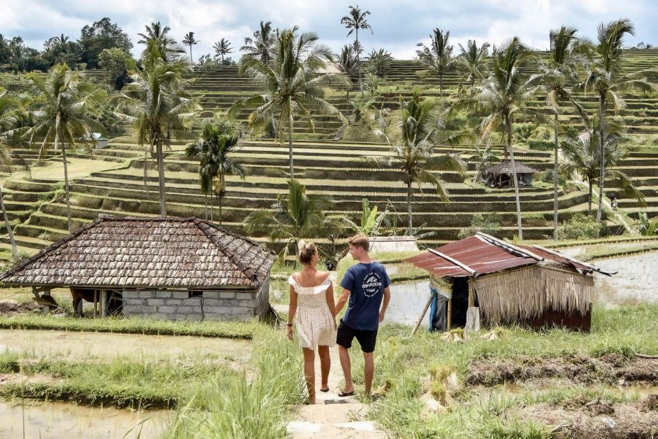 From Bali : Spectacular Waterfall of North Bali - Highlights