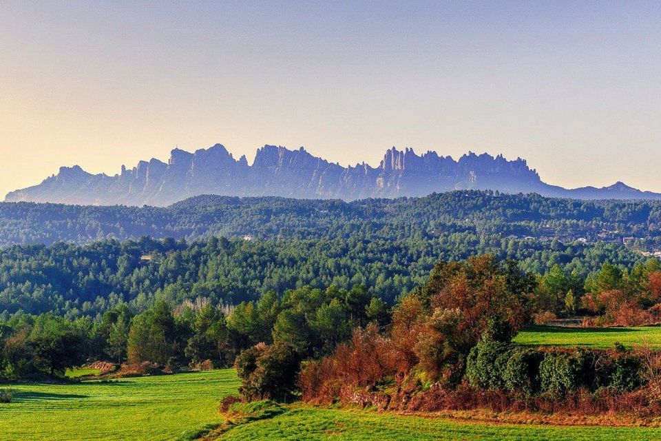 From Barcelona: Montserrat Private Guided Tour and Cable Car - Highlights of the Tour