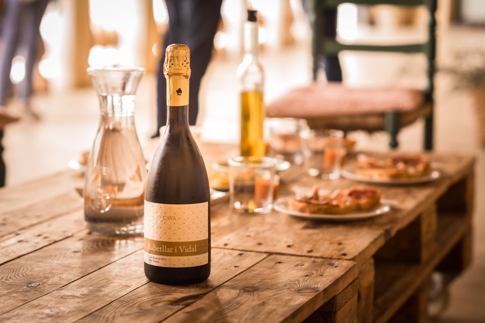 From Barcelona: Private Wine, Tapas and Cava Tour - Wine and Cava Tastings
