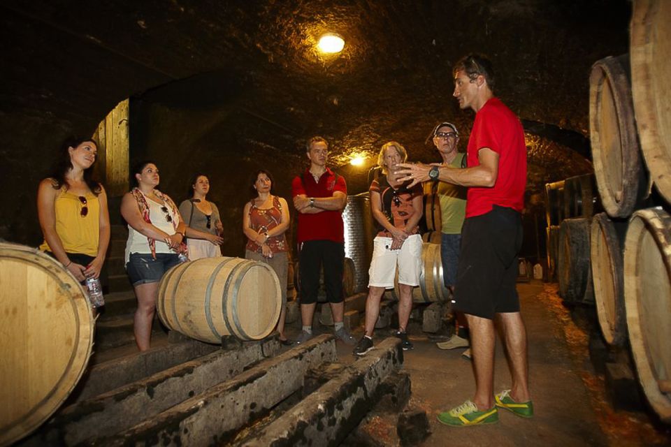 From Beaune: Full-Day Bicycle and Wine Tour in Burgundy - Detailed Itinerary