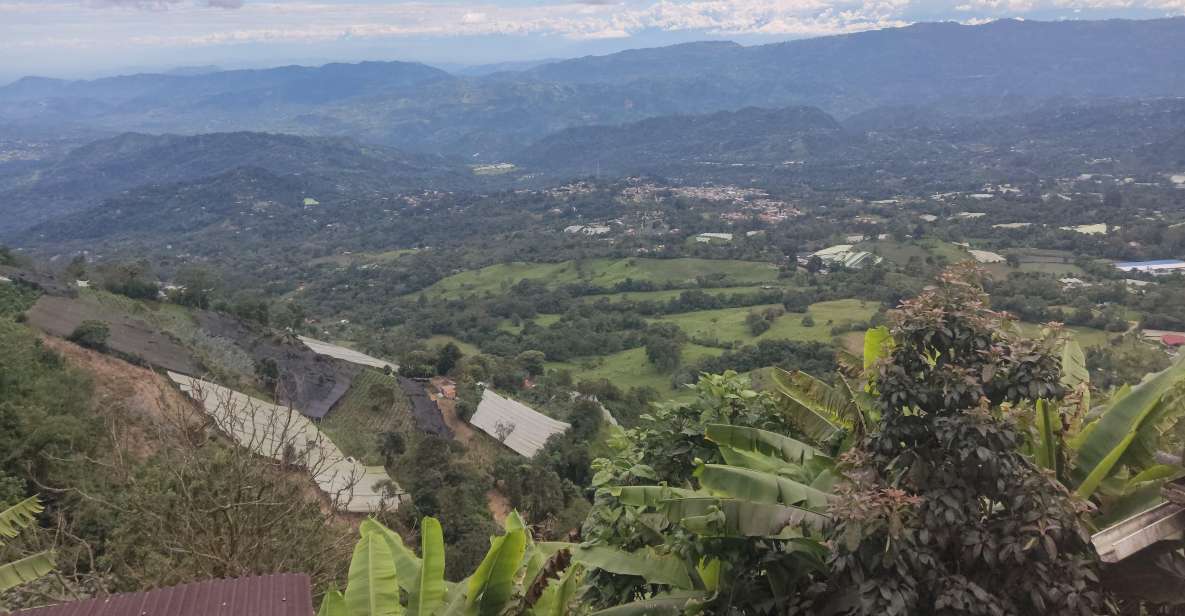 From Bogota: Andes Countryside Day! Cannabis Coffee Farm - Included Features