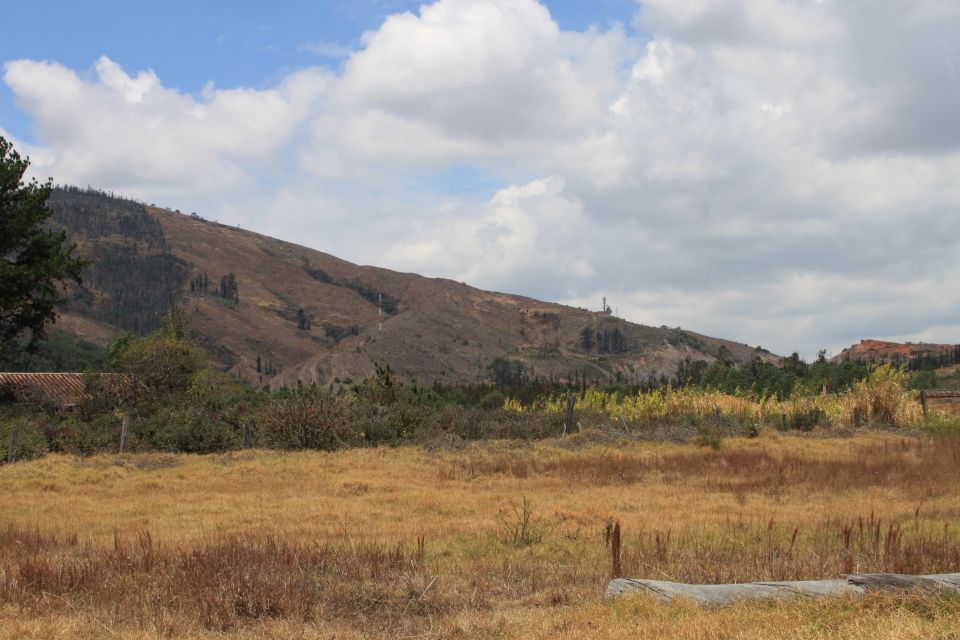 From Bogotá: Private Tour to Villa De Leyva - Itinerary Details