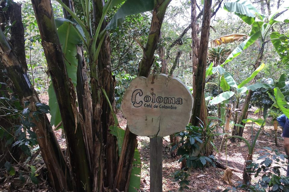 From Bogotá: the Coloma Coffee Farm Day Trip With Lunch - Full Tour Details