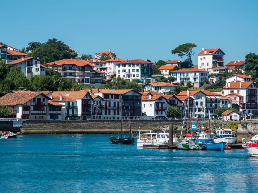 From Bordeaux: Full-Day Private Basque Country Tour - Experience and Activities
