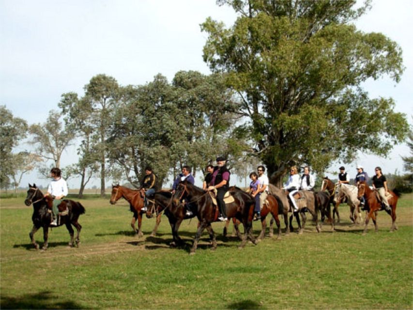 From Buenos Aires: Don Silvano Ranch Tour With Lunch. - Cultural Experiences Offered