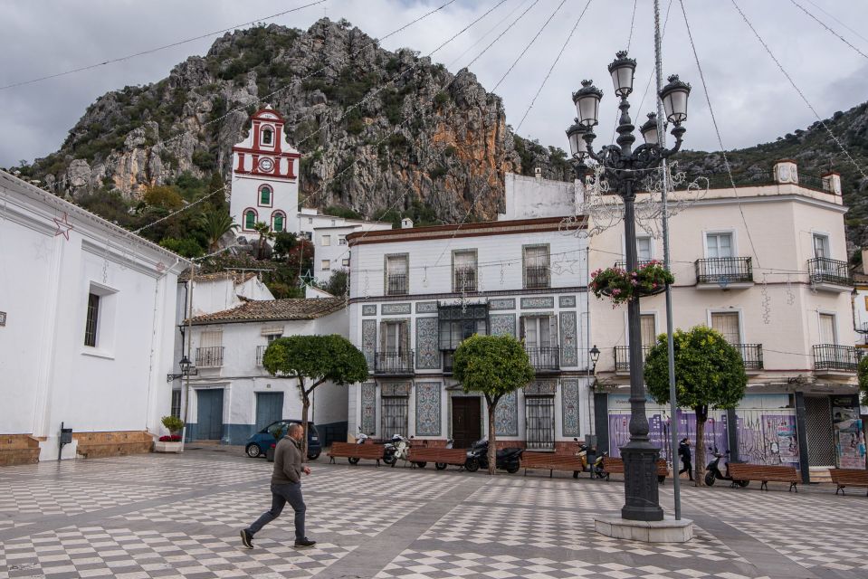 From Cadiz: Private White Villages and City Guided Tour - Guidance and Accessibility