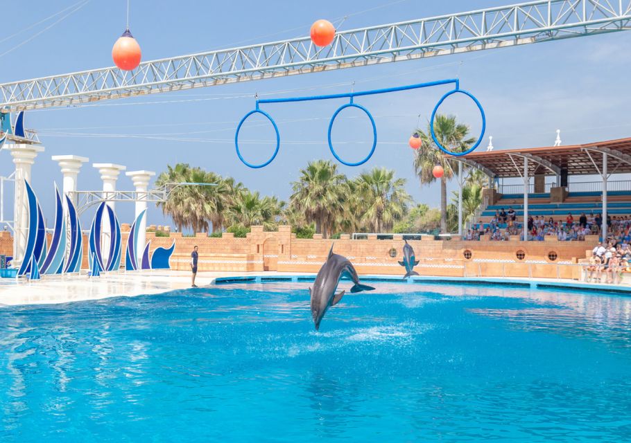 From City of Side/Alanya: Sealanya Dolphin Show W/ Transfers - Reservation Process