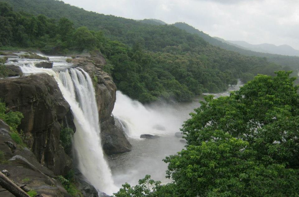 From Cochin: Athirappilly Waterfall Excursion With Lunch - Highlights of the Excursion