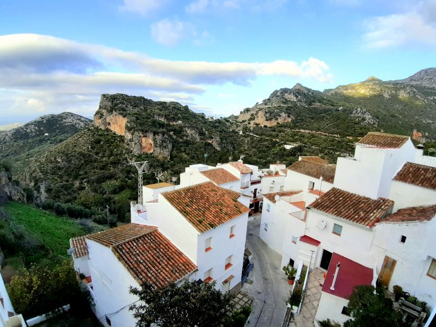 From Costa Del Sol: Casares Private Tour - Cultural Insights