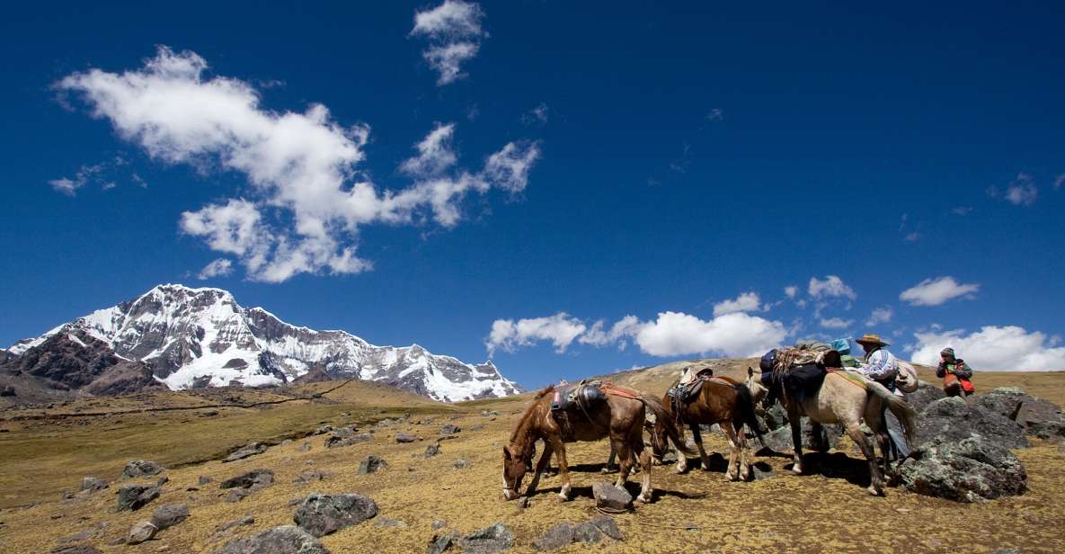 From Cusco: 2-Day Rainbow Mountain Hiking and Camping Trip - Pickup and Drive to Trailhead