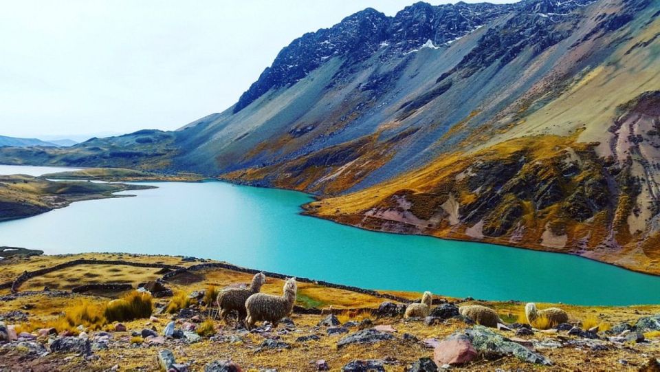 From Cusco: Ausangate 7 Lagoons Tour 1 Day. - Inclusions and Exclusions