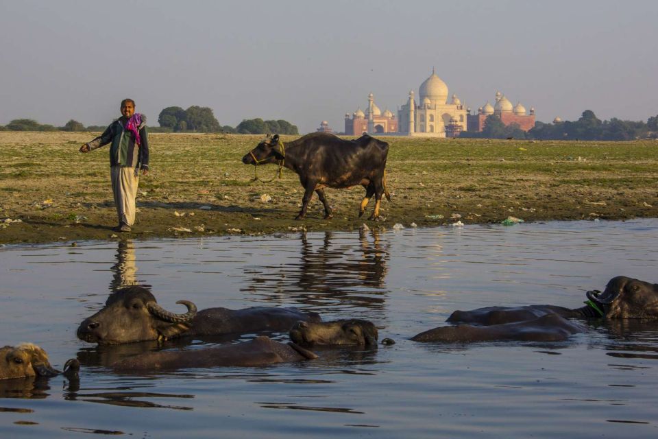 From Delhi: 3 Day Golden Triangle Luxury Tour - Day 2 Itinerary: Agra