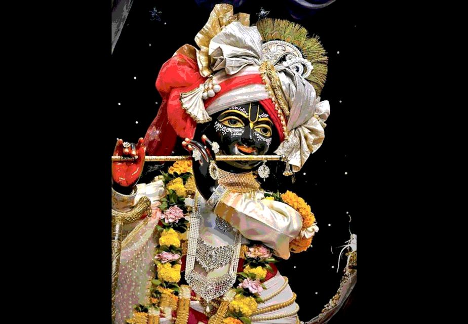 From Delhi: Private 1-day Mathura and Vrindavan Tour by Car - Transportation Details