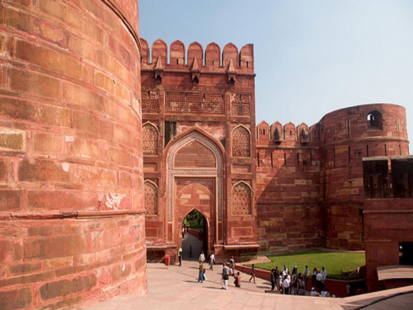 From Delhi: Trip to Taj Mahal, Wildlife SOS and Agra Fort - Tour Inclusions