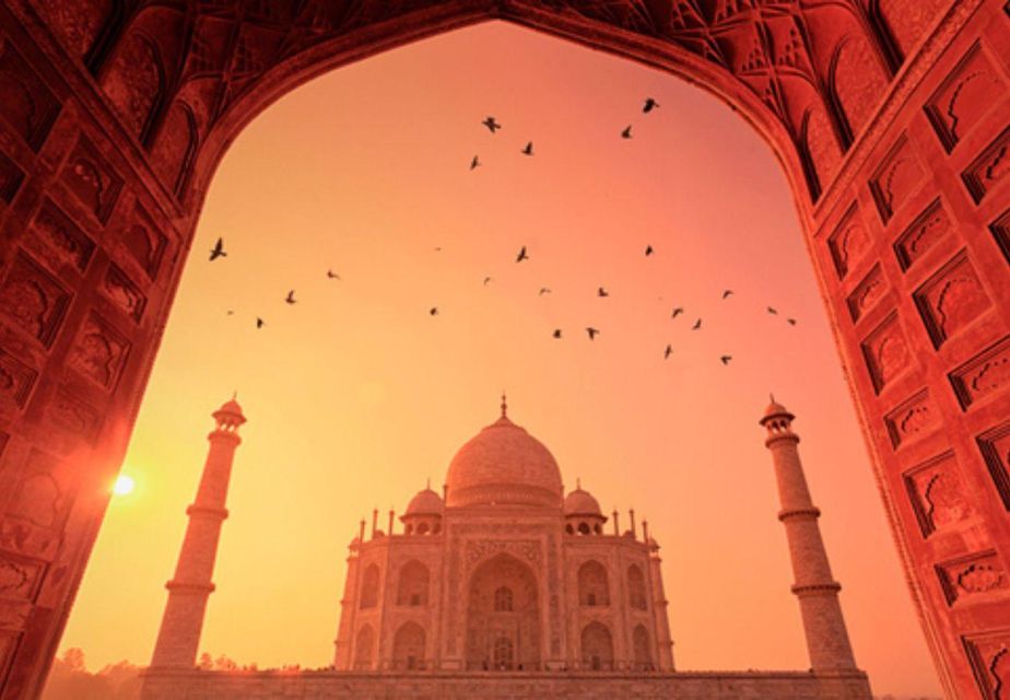 From Delhi:Sunrise Taj Mahal Tour With Elephant Conservation - Tour Highlights