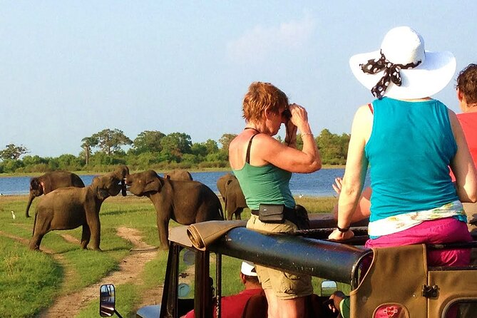 From Ella: Transfer to Mirissa/Unawatuna/Galle & Yala/Udawalawe Safari Day Trip - Wildlife Experiences