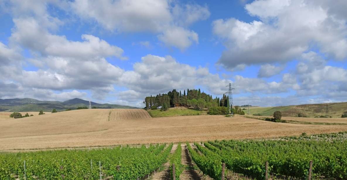 From Florence: Chianti Afternoon Tour & Visit to 2 Wineries - Wine Tasting at Farmhouses