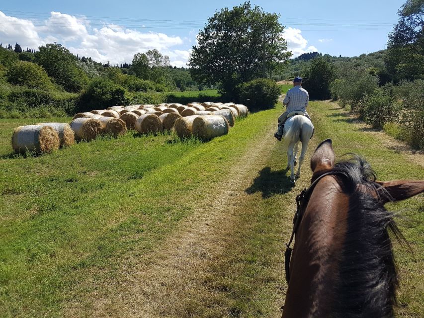 From Florence: Horseback Ride and Olive Oil and Food Tasting - Horseback Trail Ride