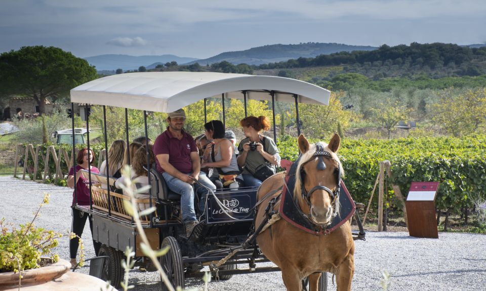 From Florence: Maremma Private Wine Tour and Suvereto - Visit Two Top-Quality Wineries