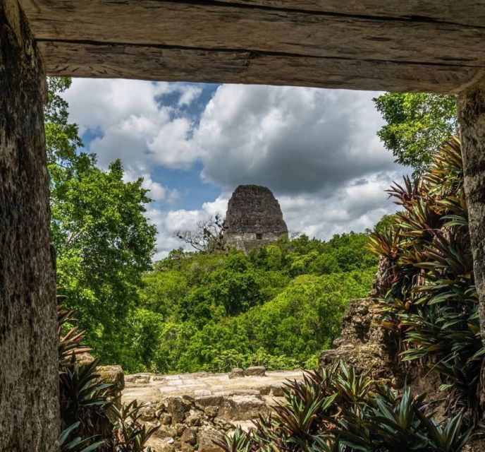 From Flores: Tikal National Park Private Day Trip With Lunch - Inclusions and Exclusions