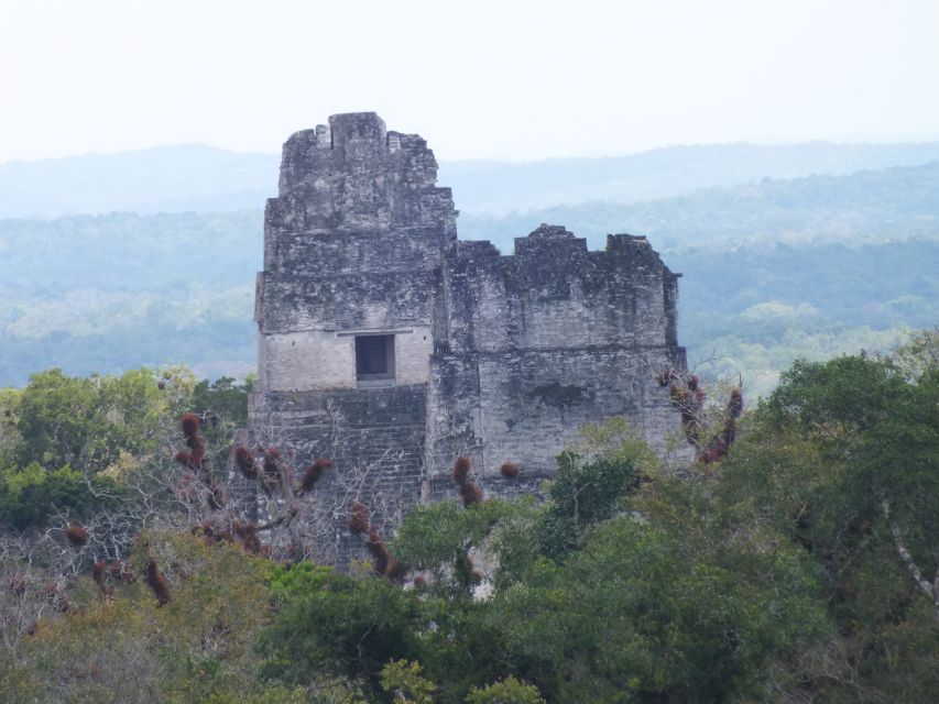 From Flores: Tikal Ruins Guided Day Trip - Inclusions and Exclusions