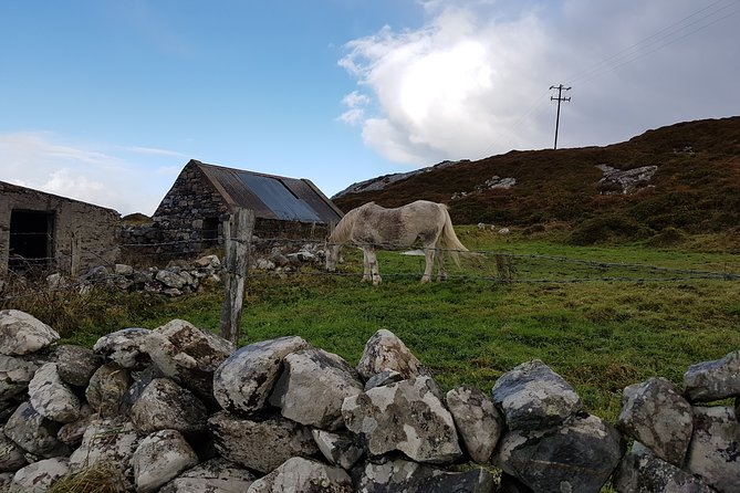 From Galway: Guided Tour of Connemara With 3 Hour Stop in Kylemore Abbey - Meeting and Pickup