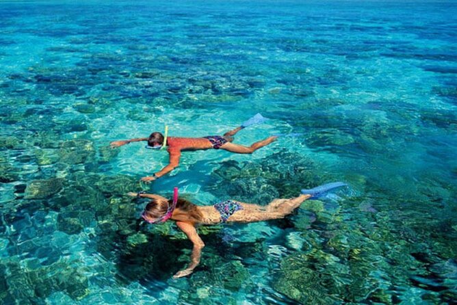 From Gili Trawangan & Gili Air Snorkeling Trip Sharing & Private - Customer Feedback and Experiences